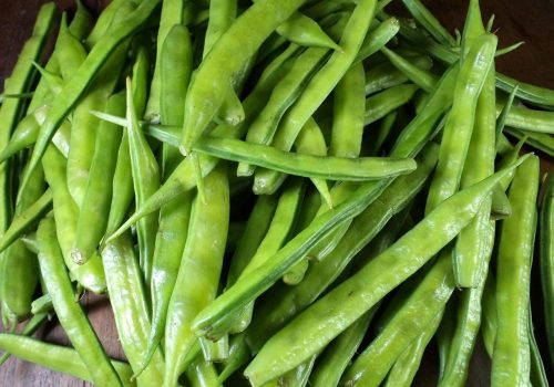 63ca0d877918197bf5269ca3-indian-cluster-bean-guar-bean-gum-bean