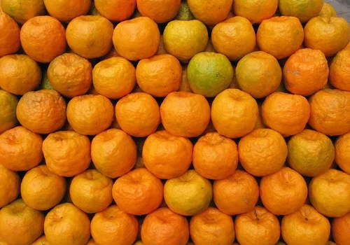 6788748106_2ac8413791_b-500x500