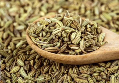 AdobeStock_171185102_Preview