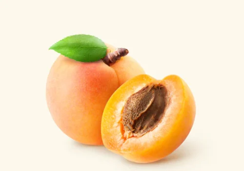 Apricot-Seed