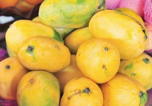 Himayat-Mango-1