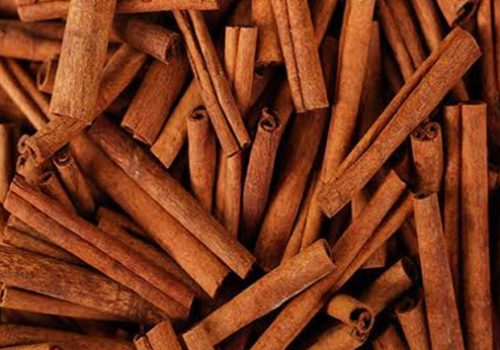 cinnamon-stick-exporters-in-india