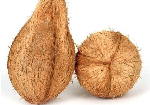 fresh-brown-coconut