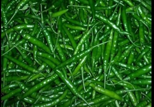 g4-green-chilli-exporter