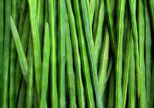 healthy-and-natural-fresh-drumstick-054