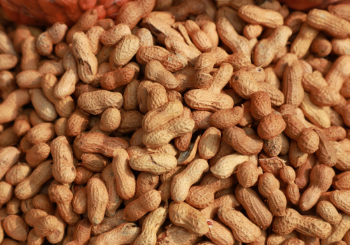 scattered_peanuts_in_shells_1