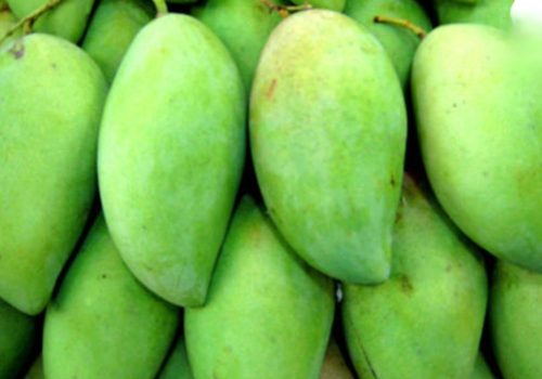 wmremove-transformed (1)